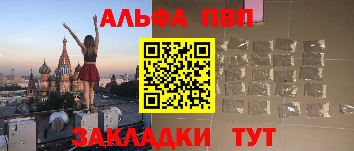 A-PVP СК Гатчина