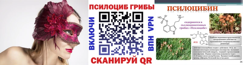 ссылка на мегу Гатчина Псилоцибиновые грибы Psilocybine cubensis