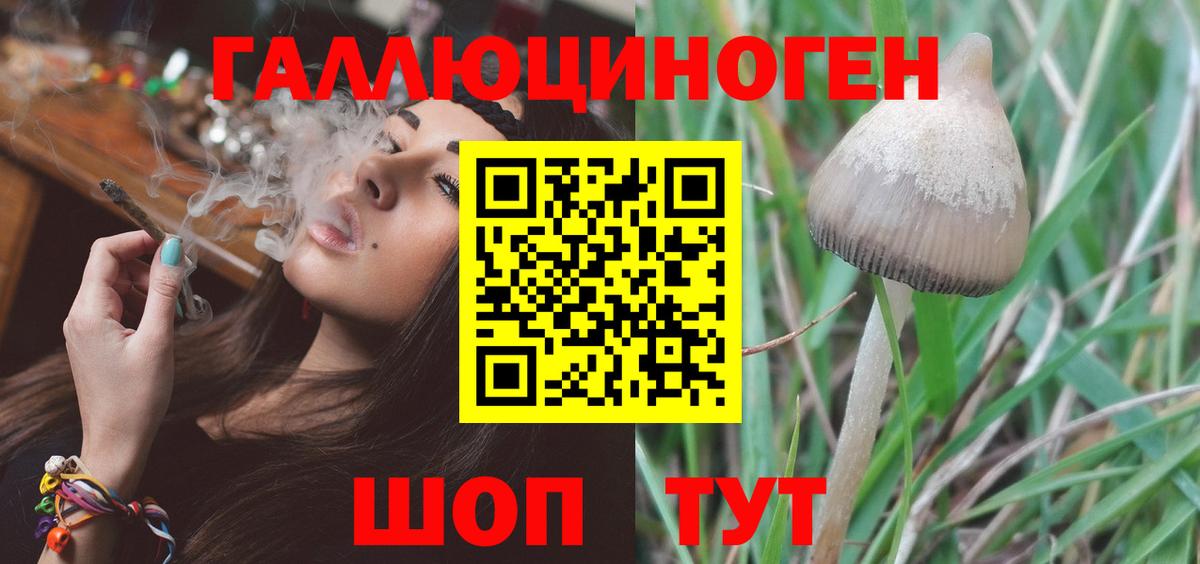 Гатчина  Галлюциногенные грибы мицелий  Галлюциногенные грибы прущие грибы  Вход с VPN 