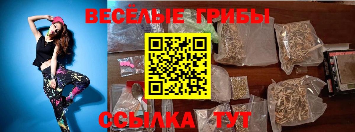 Псилоцибиновые грибы GOLDEN TEACHER Гатчина