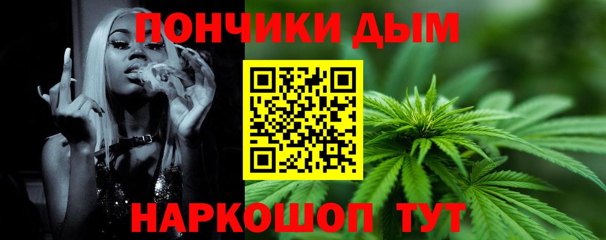 Бошки Шишки семена  Бошки Шишки ГИДРОПОН  Гатчина  Бошки Шишки OG Kush  Вход с VPN 